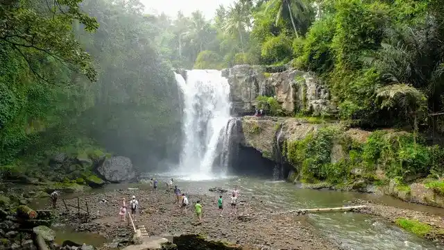 بالي سياحة