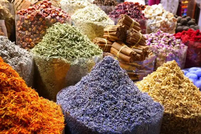 مناطق سياحية خورفكان