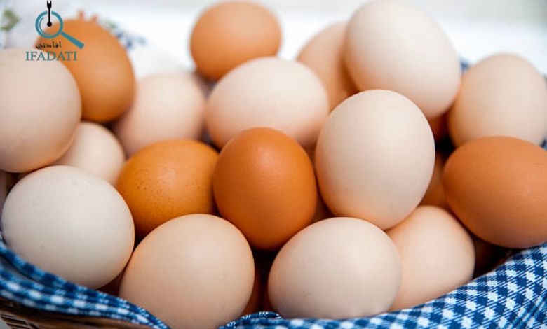 الاطعمة التي تحتوي على البروتينات