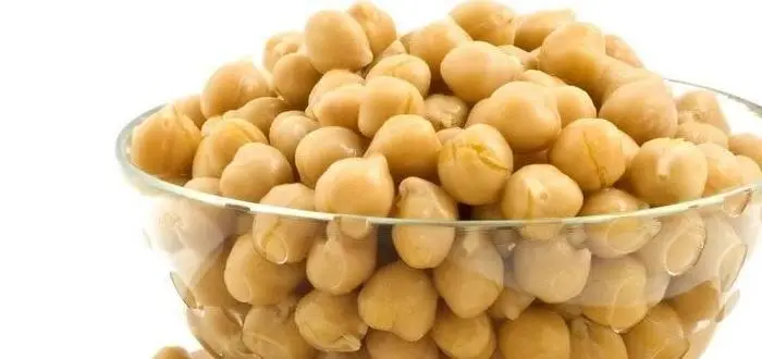 البروتين