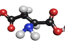 فوائد الأحماض الأمينية 1