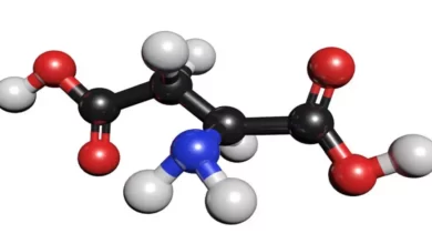 فوائد الأحماض الأمينية 1