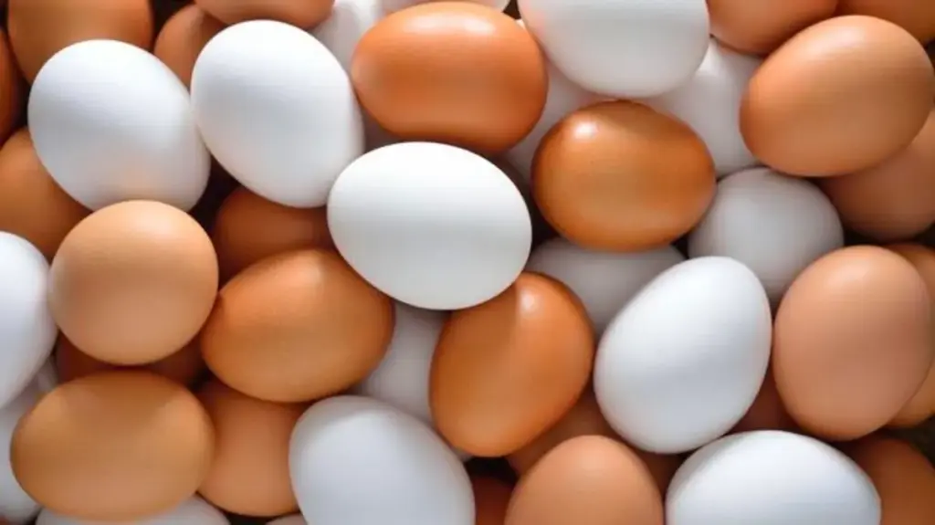 وجبات صحية