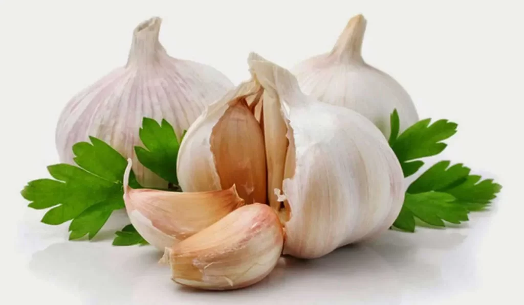 الثوم