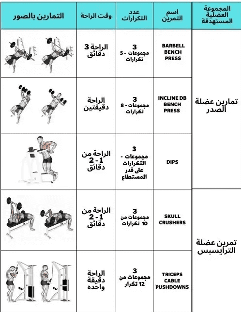 تمارين التضخيم
