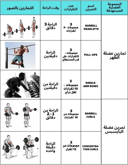 تمارين التضخيم