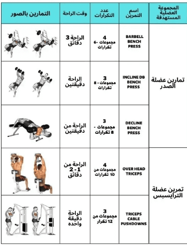 تمارين التضخيم
