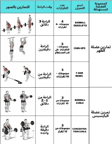 تمارين التضخيم