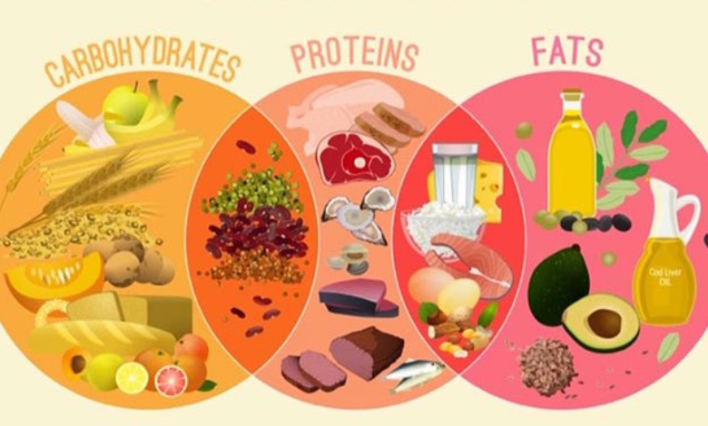 حاسبة احتياج الجسم من البروتين والكارب والدهون 1