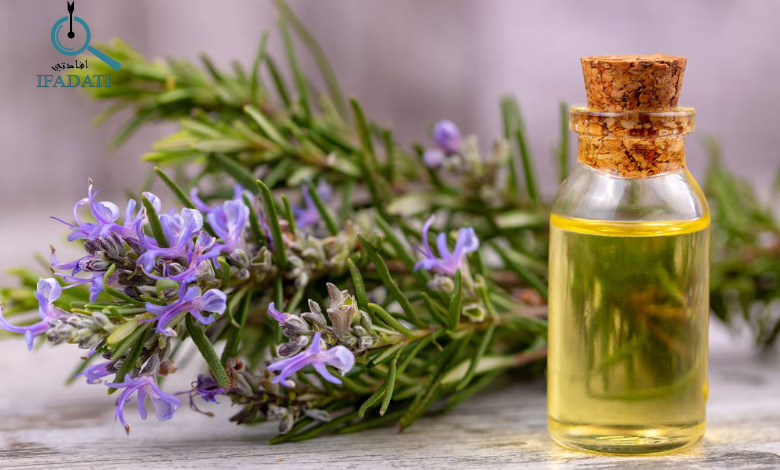 زيت اكليل الجبل للشعر