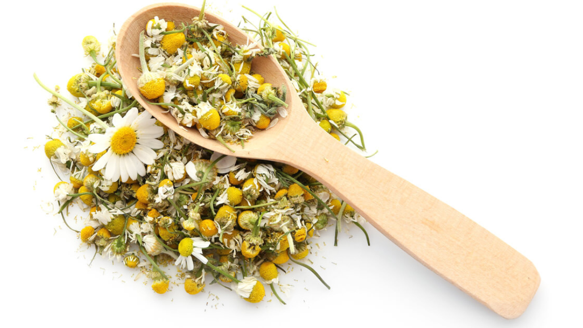 فوائد البابونج