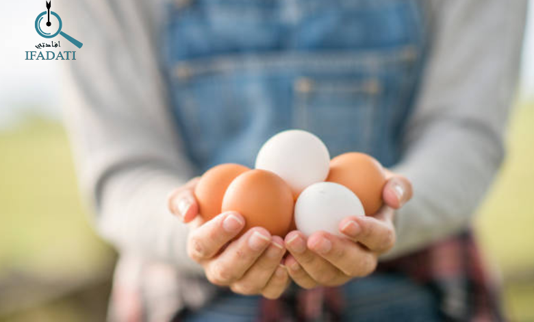 كم بروتين في البيض