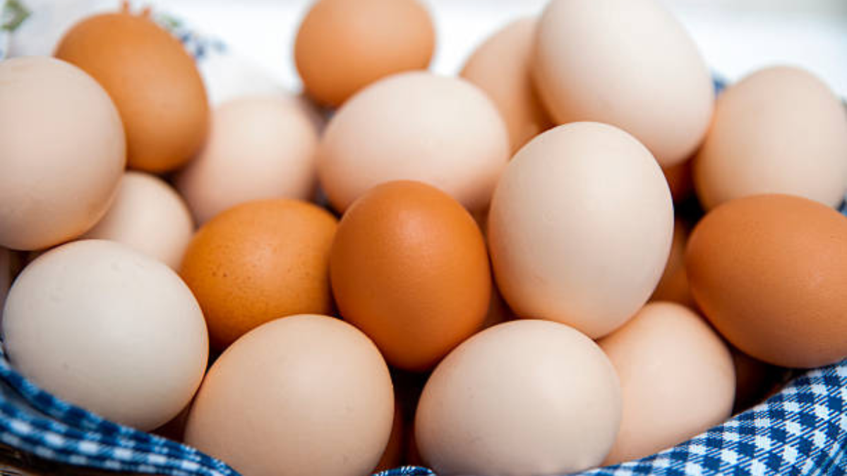 كم بروتين في البيض​