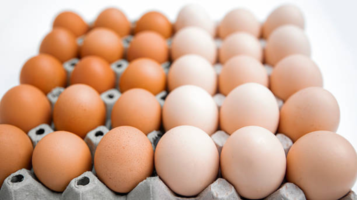 كم سعرة حرارية في البيض​