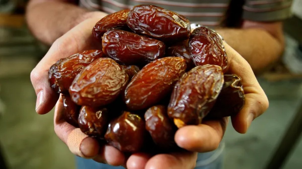 هل التمر يزيد الوزن