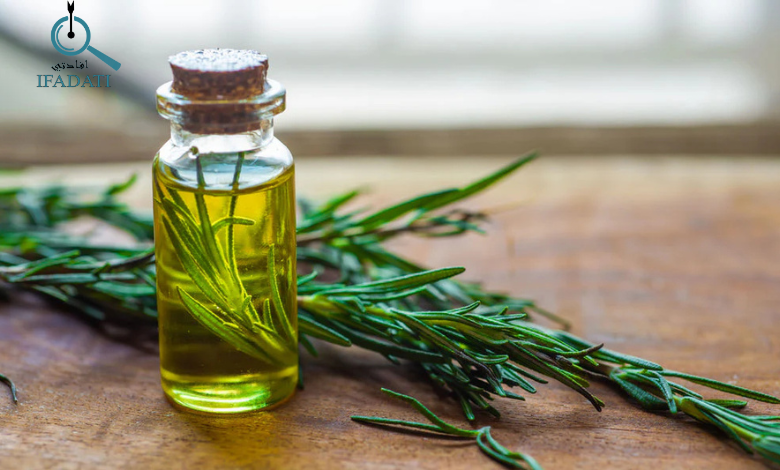 تجربتي مع زيت إكليل الجبل للشعر​