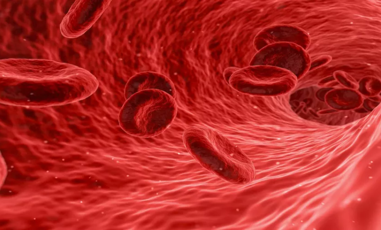 اسباب نقص الحديد