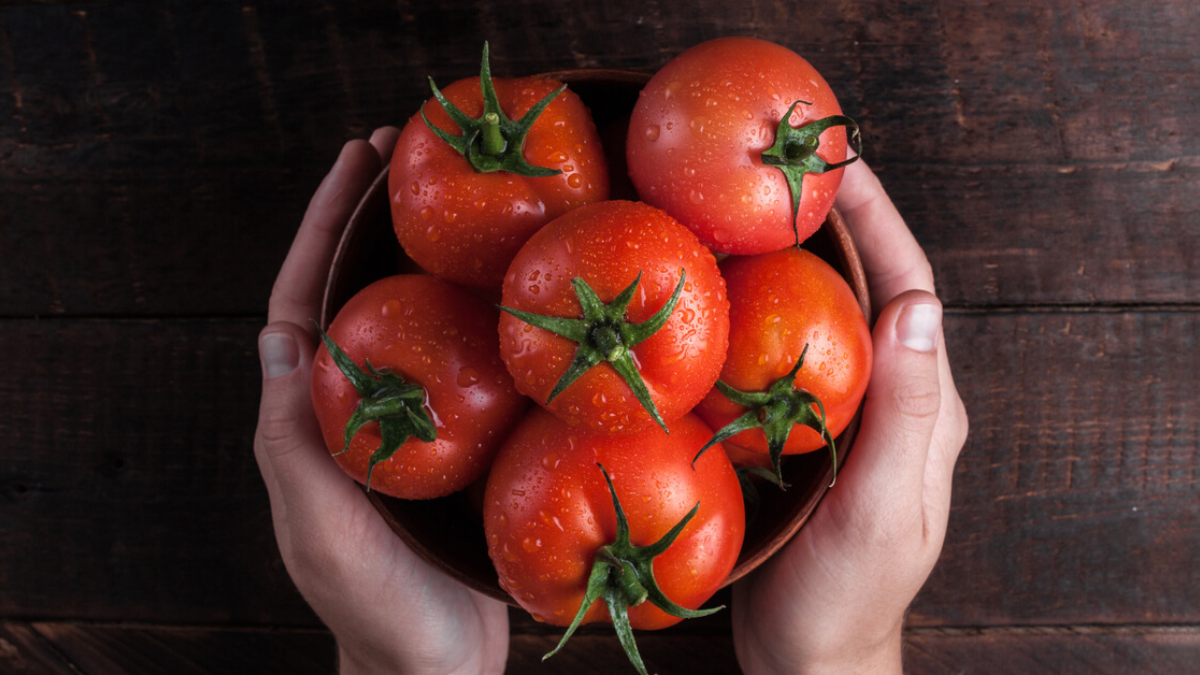 هل الطماطم من الفواكه أم خضراوات