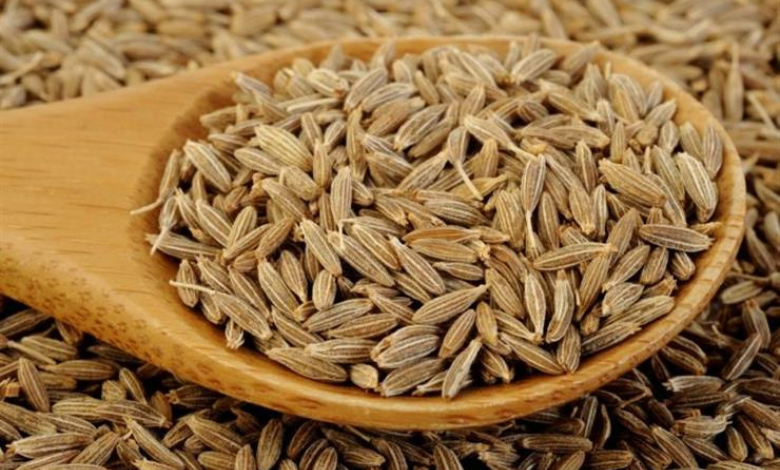 فوائد الكمون للبطن 
