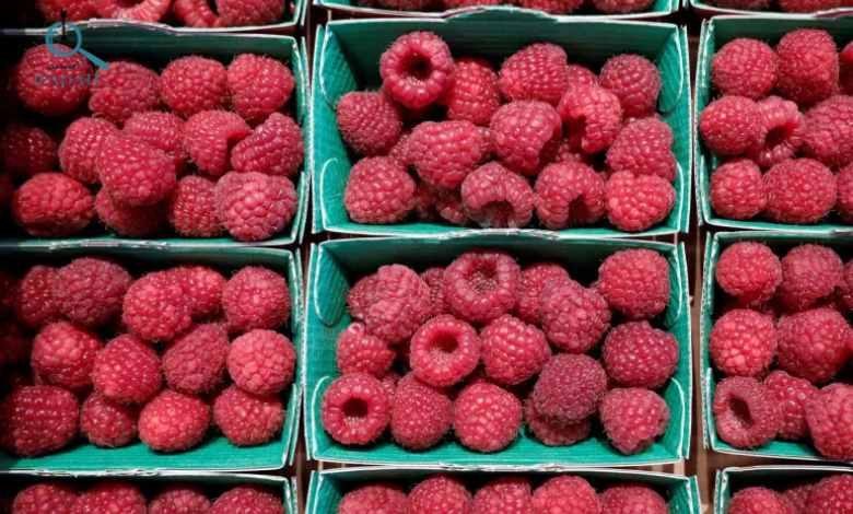 فوائد التوت الاحمر