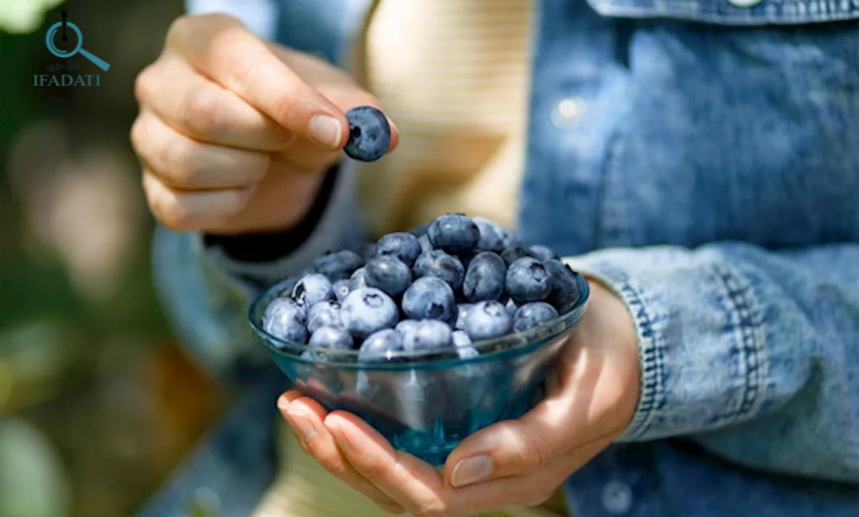 فوائد التوت الازرق