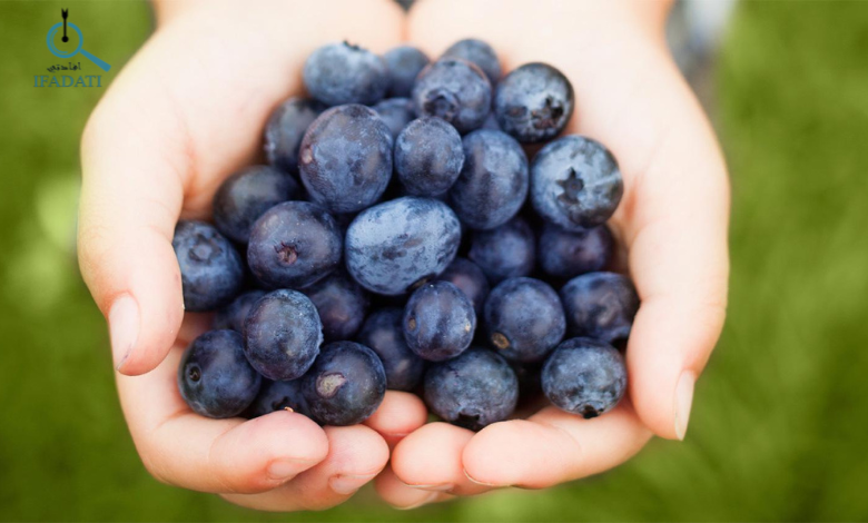 فوائد التوت الازرق