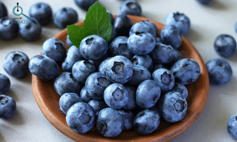 فوائد التوت الازرق