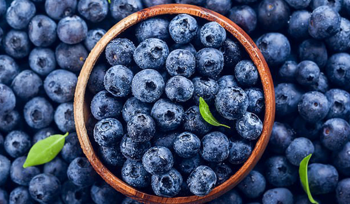 فوائد التوت الازرق