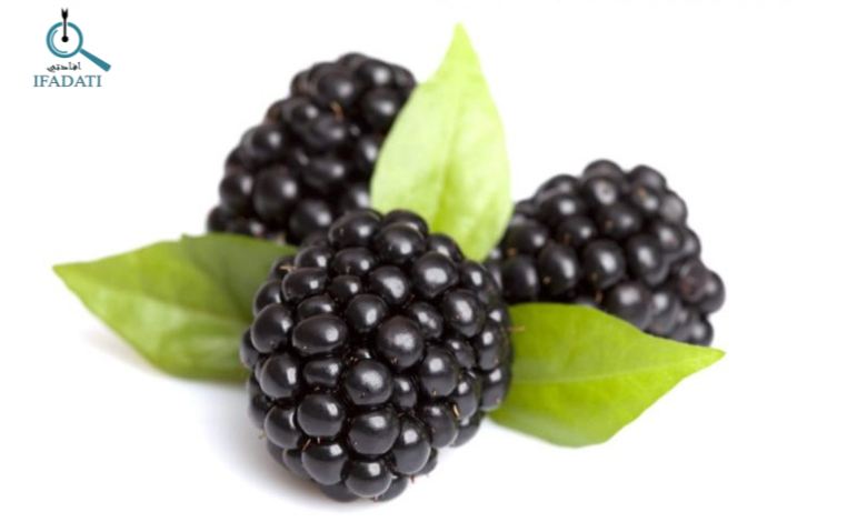 فوائد التوت الاسود