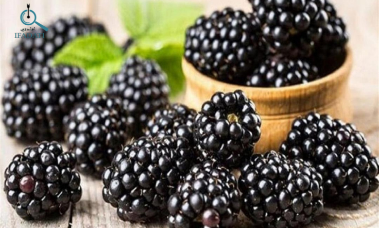 فوائد التوت الاسود