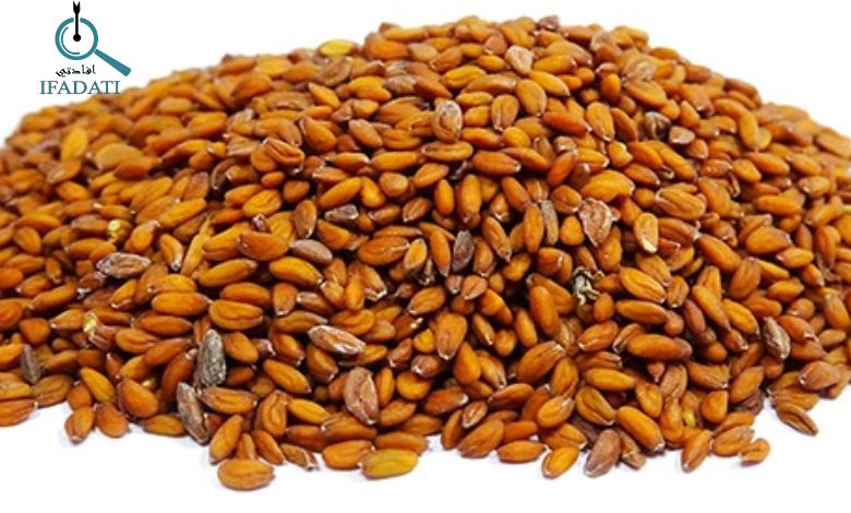 فوائد حب الرشاد