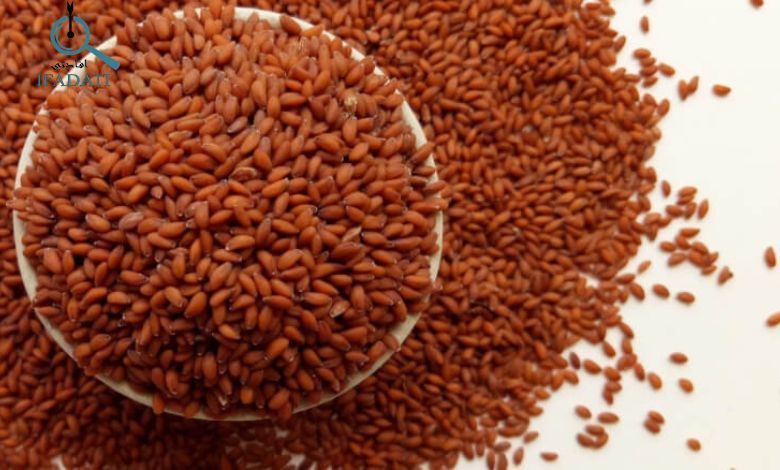 فوائد حب الرشاد