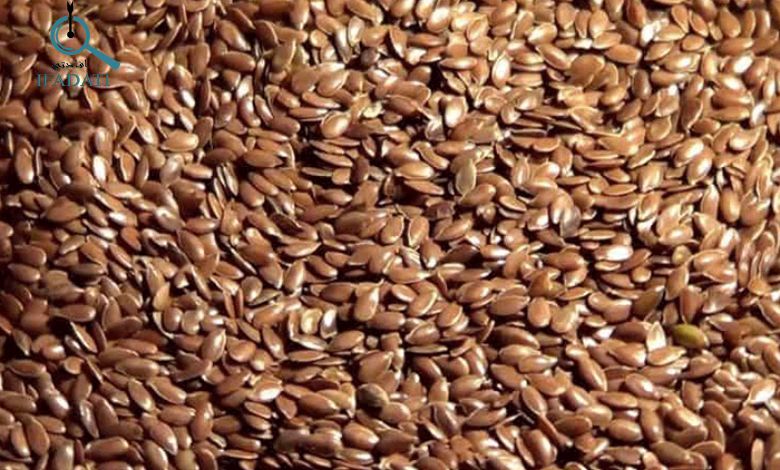 فوائد حب الرشاد للاطفال