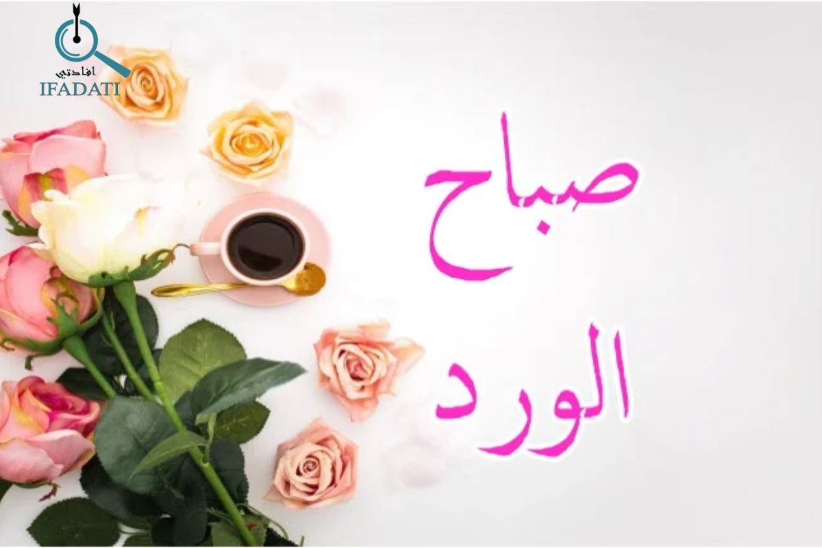 إفادتي