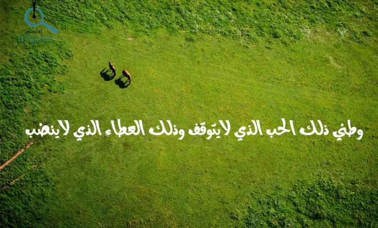 شعر عن اليوم الوطني